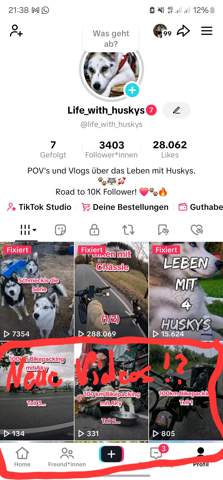 Bild zum Beitrag