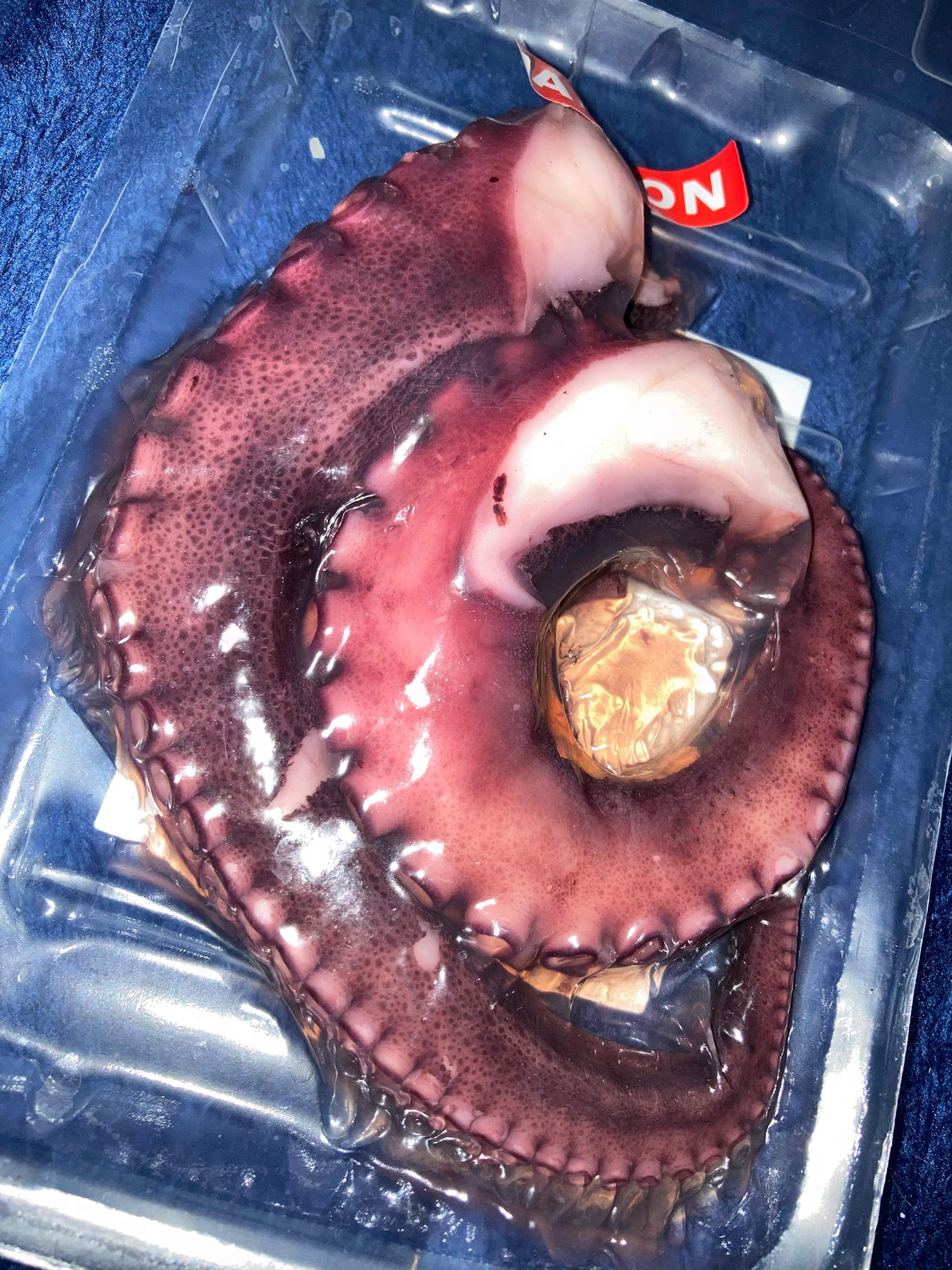 Tintenfisch TENTACULES de POULPE CUIT wie lange kochen? Spiele und Gaming, Essen)