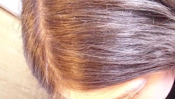 tipps gegen spliss haare beauty