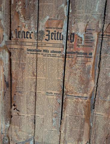 Bild zum Beitrag