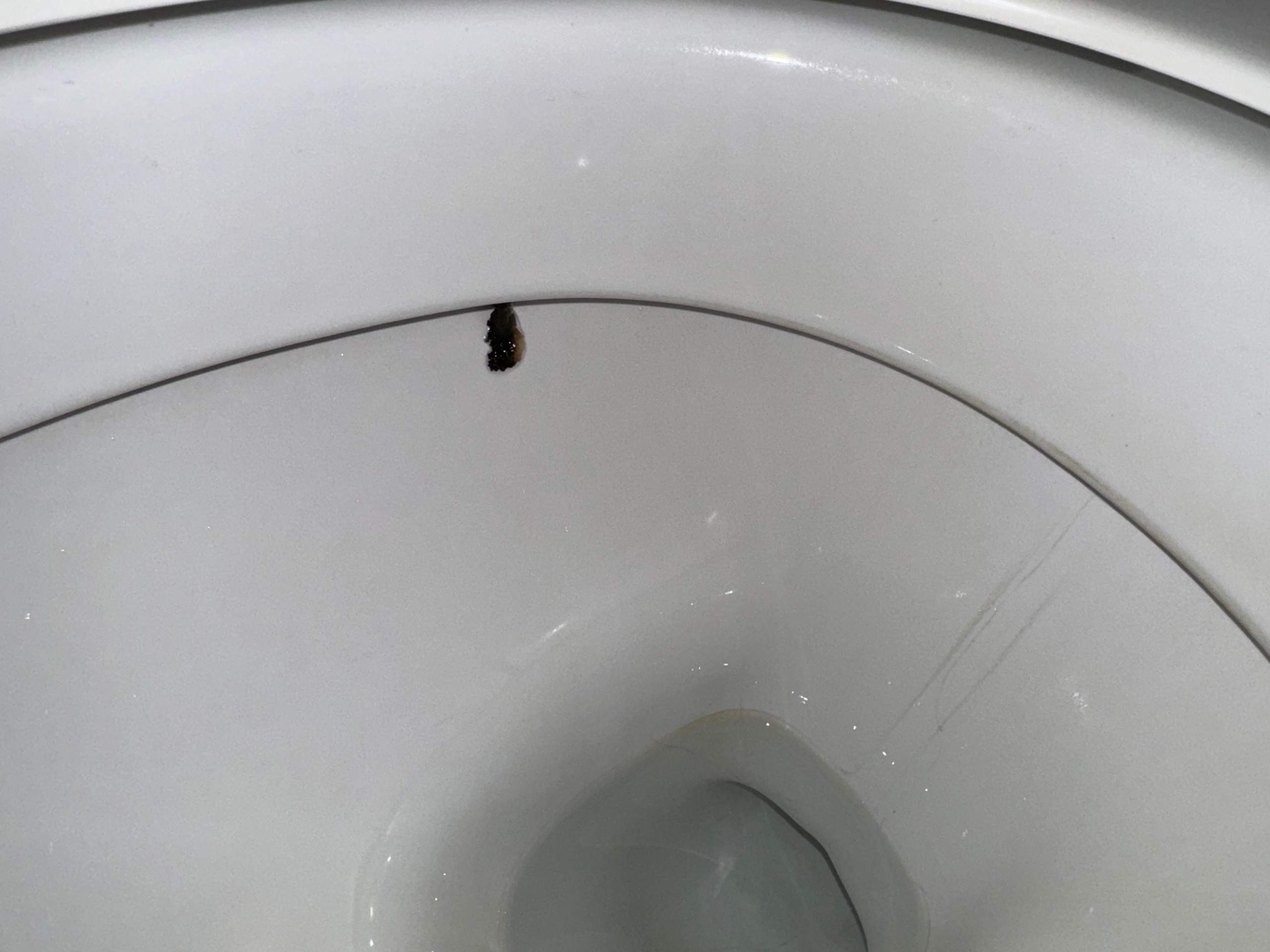 Schwarze Ablagerung Toilette