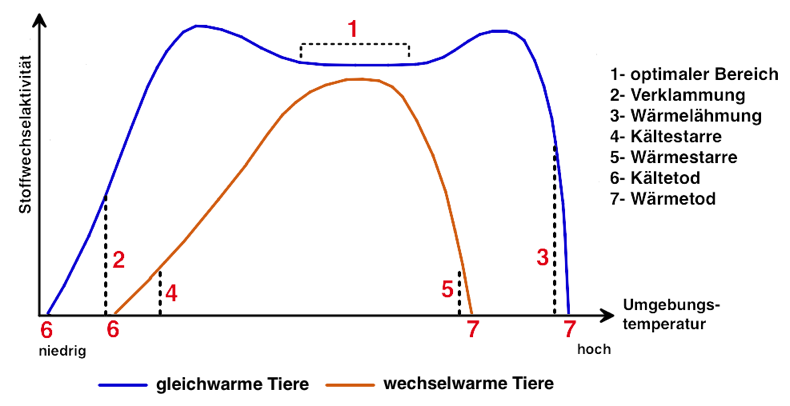 Toleranzkurve- gleichwarm und wechselwarm? (Schule, Biologie)