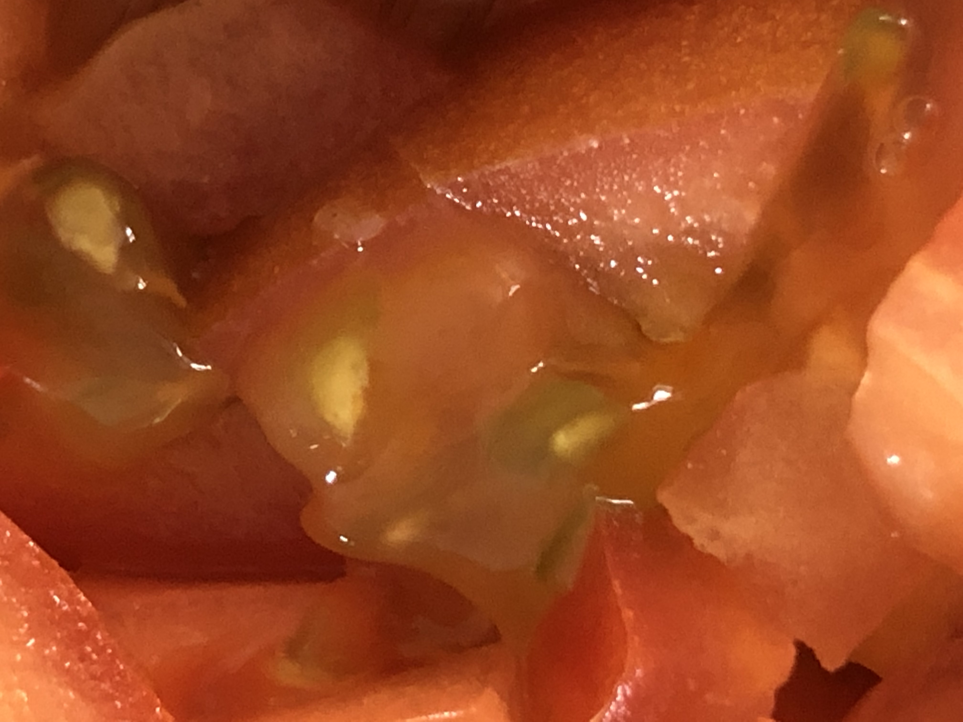 Tomaten Reif Weil Sind Grun Gesundheit Essen Kochen