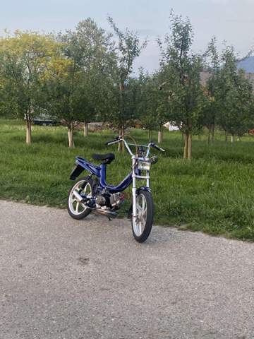 Bild zum Beitrag