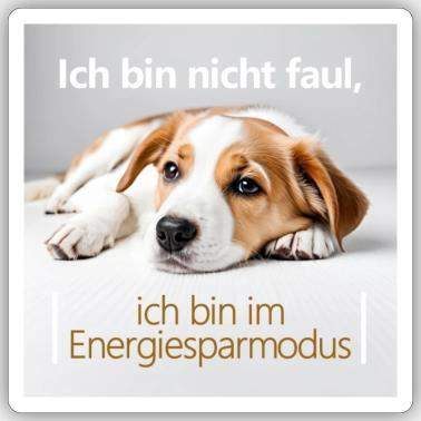 Total entspannt? (Menschen, Hund, Humor)