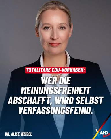 Bild zum Beitrag