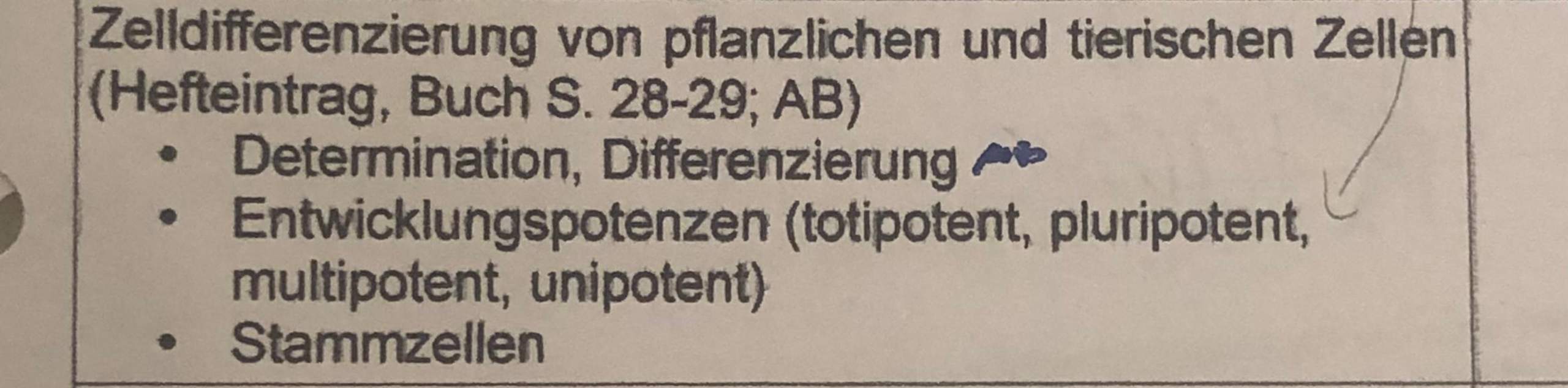Totipotent,pluripotent ,multipotent, unipotent und Stammzellen? (Schule