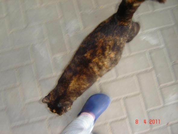 Nearby video chat app Nearby video chat app