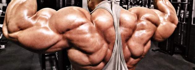 Trainiert man alle Muskeln des Rückens automatisch mit wenn man