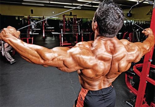 Trainiert man alle Muskeln des Rückens automatisch mit wenn man