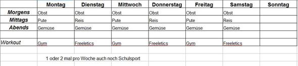 Mein "Plan" - (Ernährung, Gym., Plan)