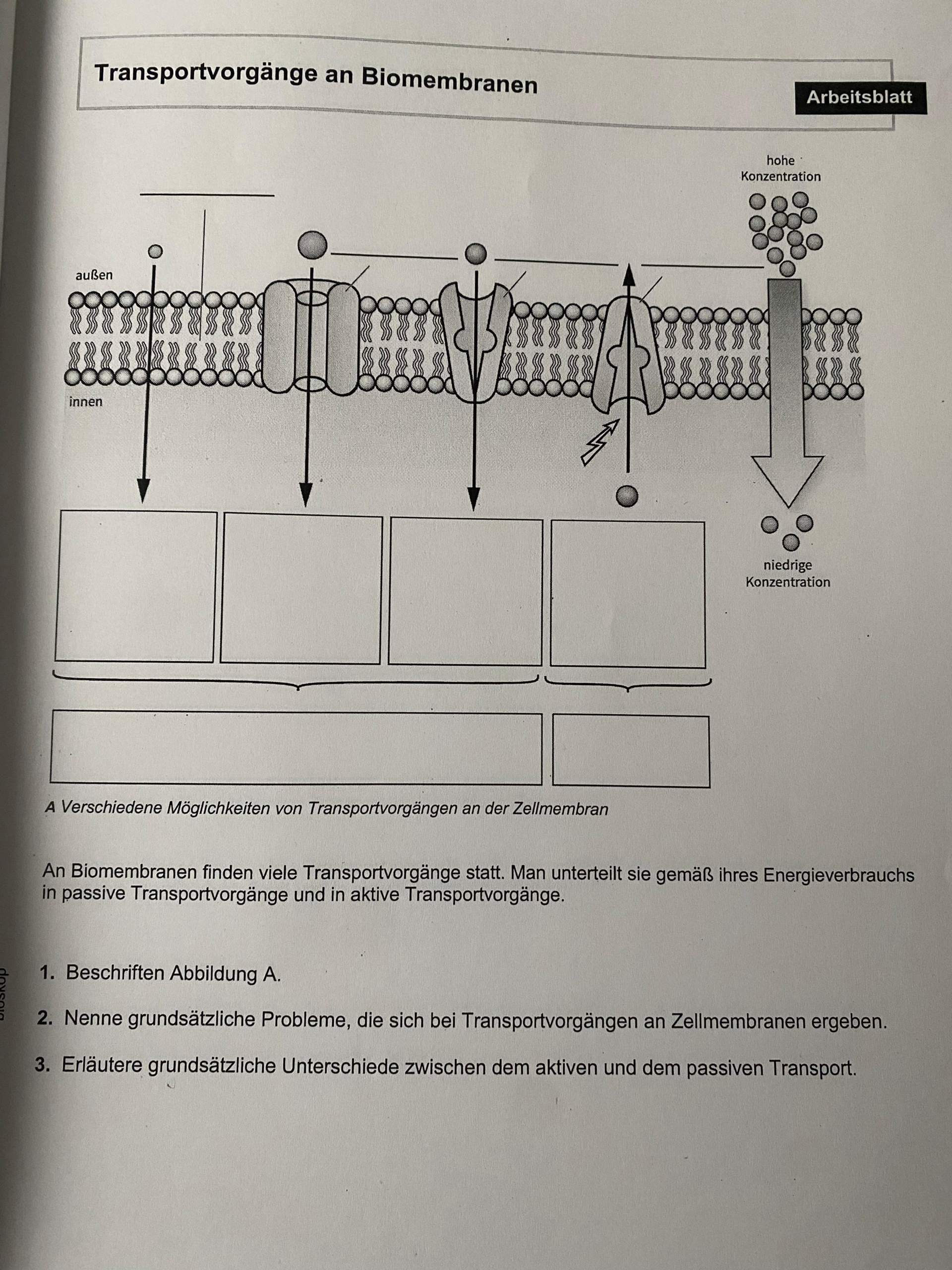 an Biomembranen? (Schule, Biologie, Protein)