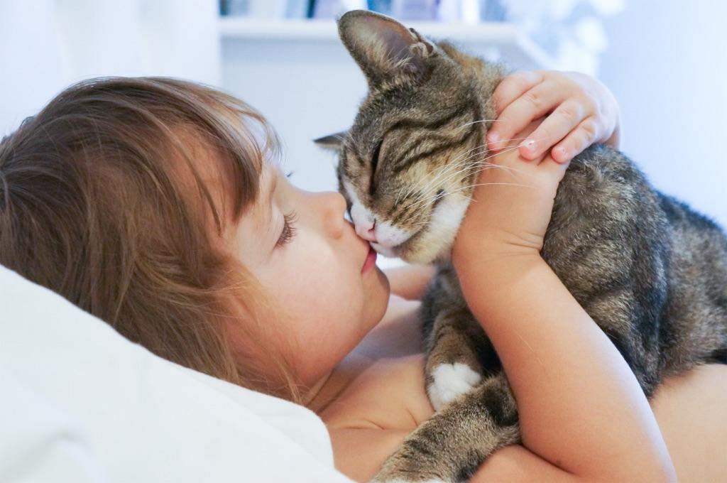 Trauerst du auch lange wenn dein Haustier stirbt? (Psychologie, Tiere