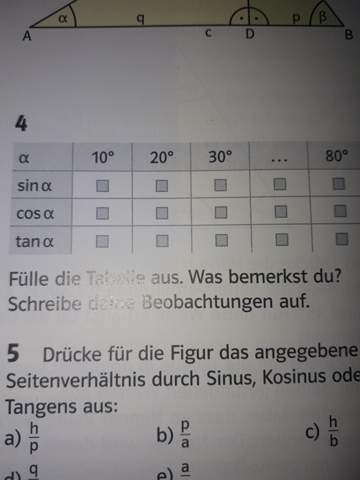 Trigonemtre Tabelle Berechnen Schule Mathematik Trigonometrie
