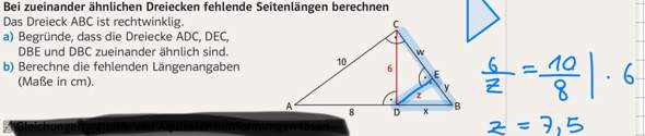 Bild zum Beitrag