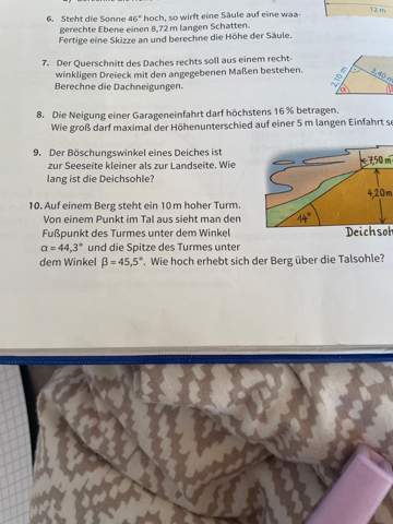 Bild zum Beitrag