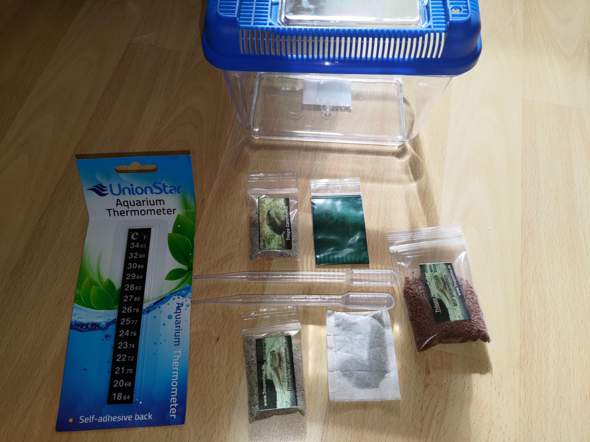 Triops züchten? (Krebs, Haltung, Triops Zucht)