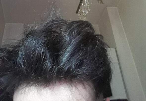 trockene dicke haare trockene haare