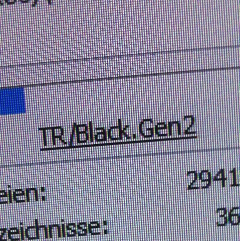 Letzter Fund: TR/Black.Gen2 - (Computer, PC, Internet)