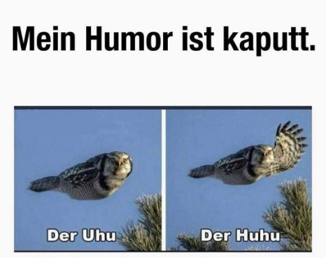 Bild zum Beitrag