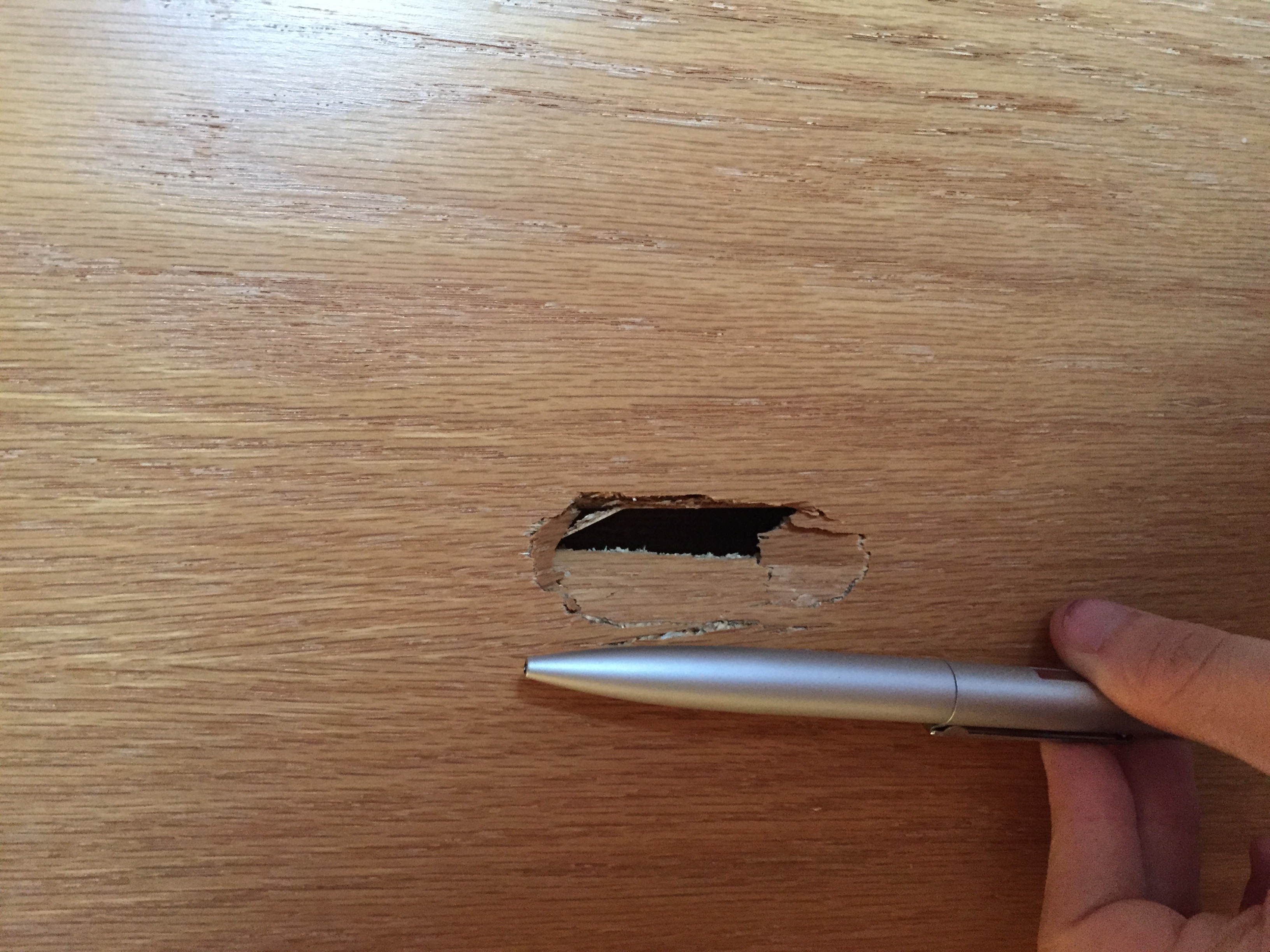 Tür reparieren, möglich? (Loch)