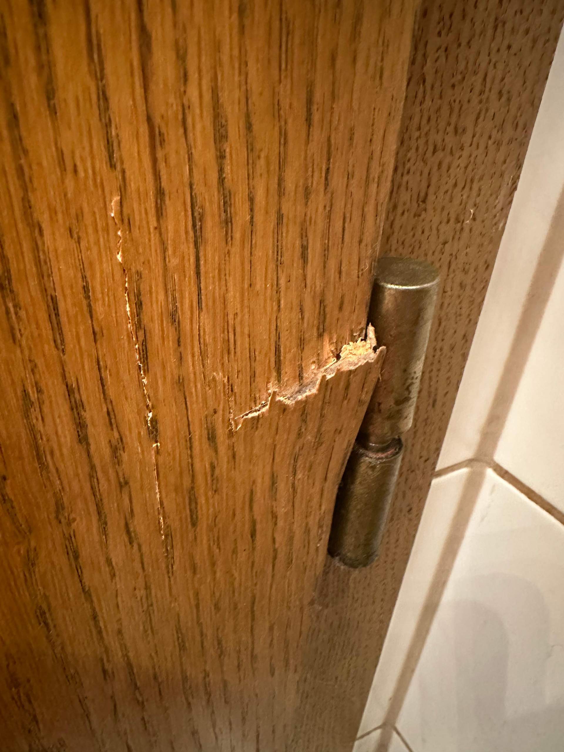 Tuere Türe reparieren? (Handwerk, Holz, heimwerken)