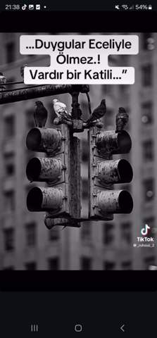 Türkisch übersetzen? (Schule, Liebe, Lernen)