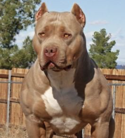 welcome to dangerous neoseeker xyz