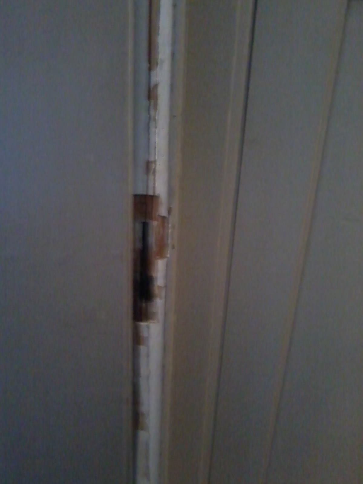 Türrahmen reparieren, aber wie? Die Fotos (Foto)