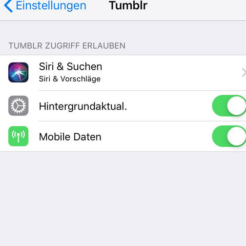 Kein Safe-Mode Button vorhanden  - (Post, Blog, Tumblr)