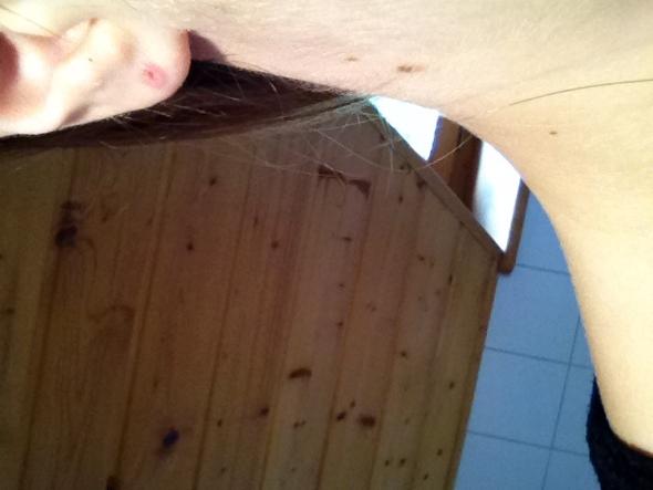 2.Bild - (Piercing, Tunnel, blowout)