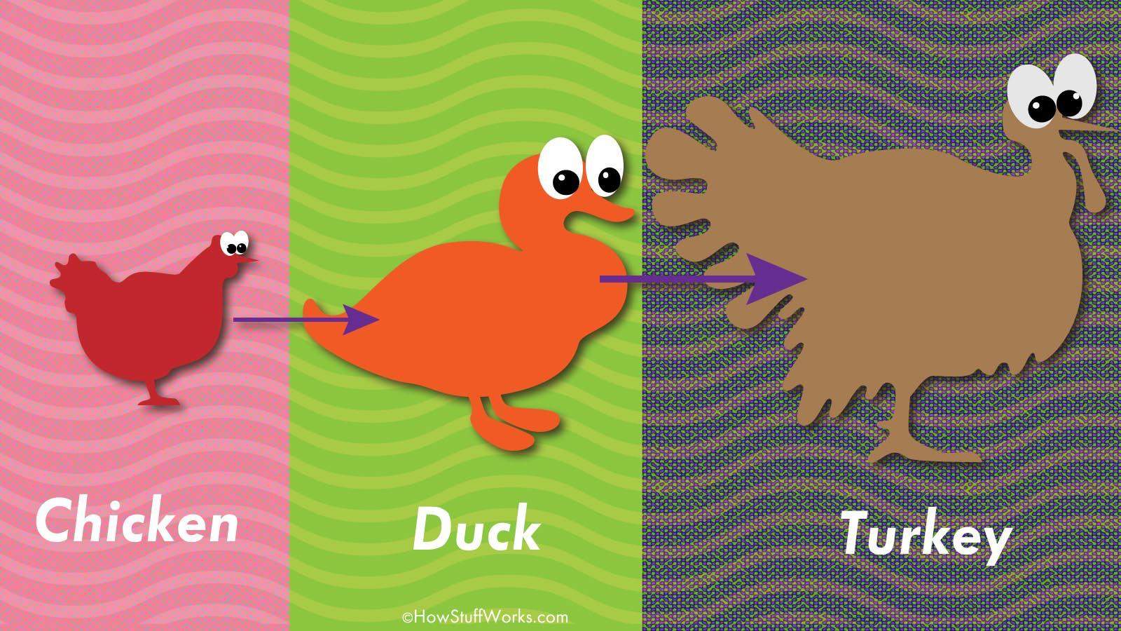 Turducken? (Ernährung, Leben, Essen)