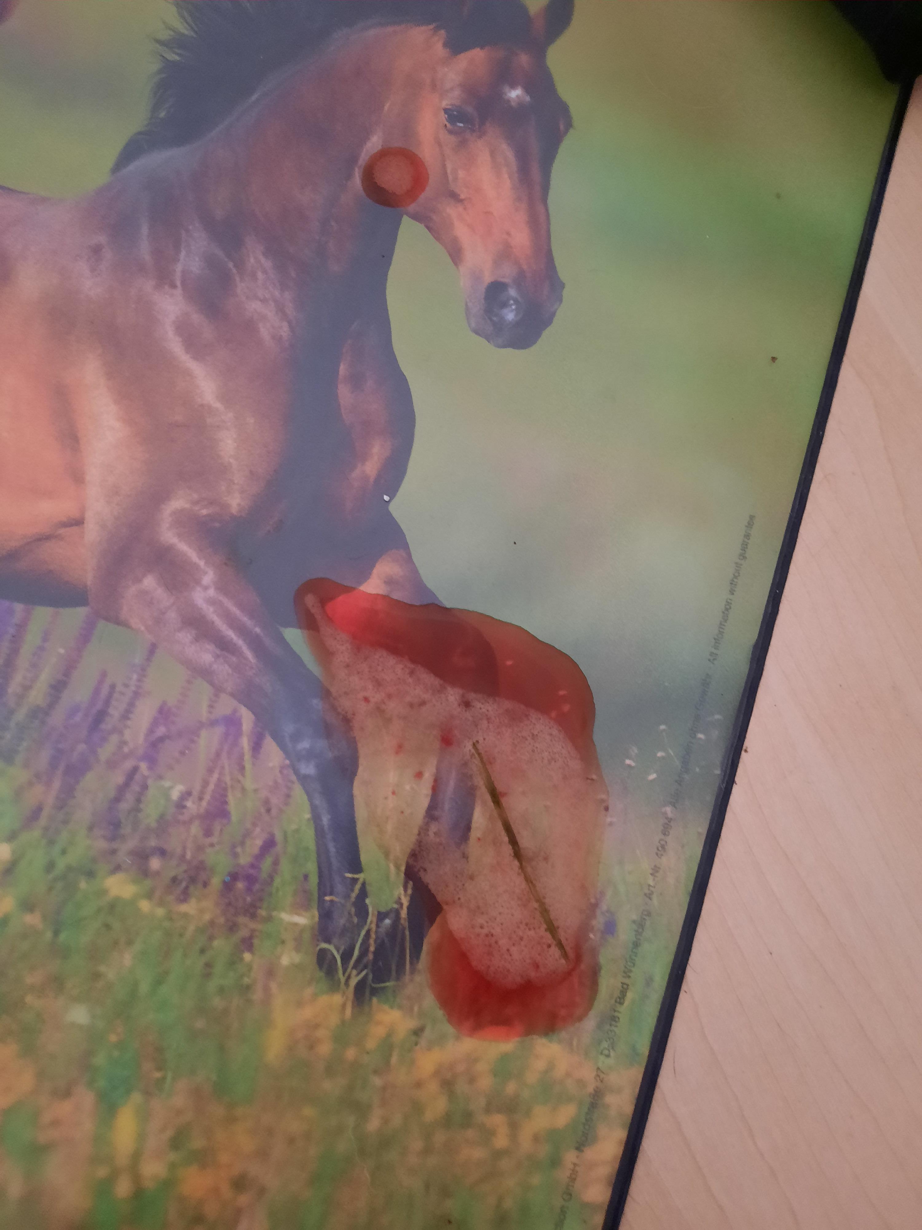 Was Tun Wenn Das Klo Verstopft Ist Was Tun Wenn Das Klo Verstopft Ist