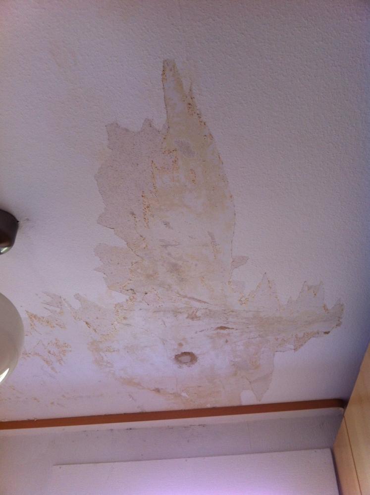 Über abgerissene Tapete drübertapezieren? (tapezieren)