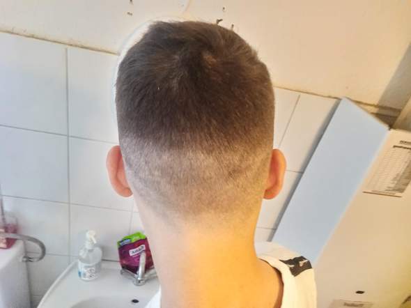Bild zum Beitrag