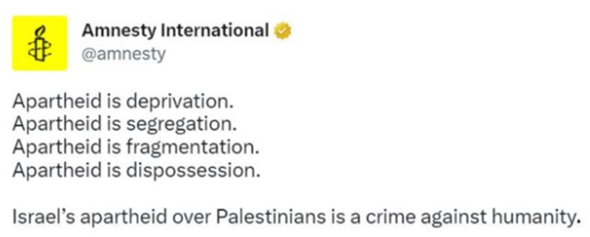 Übersetzung (Amnesty International über Israel)?