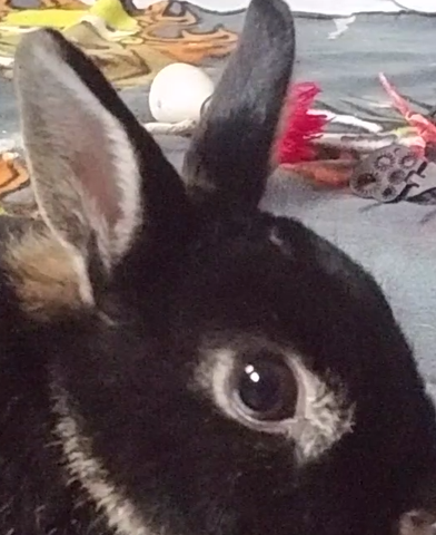 um auge fehlt haar muss ich deswegen