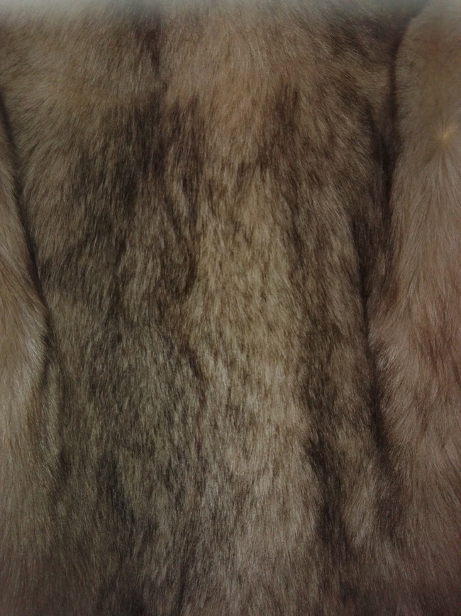 Um welche Pelzarten könnte es sich handeln? (Jacke, Pelz) Um welche Pelzarten könnte es sich handeln? (Jacke, Pelz)