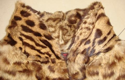 Detail Kragen - (Pelz, Leopard, Raubkatzen)