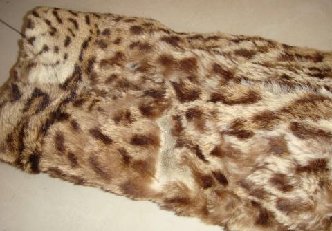 Detail Arm - (Pelz, Leopard, Raubkatzen)