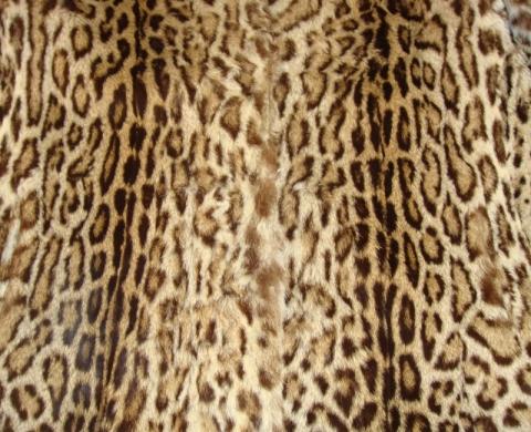 Rueckenansicht gross - (Pelz, Leopard, Raubkatzen)