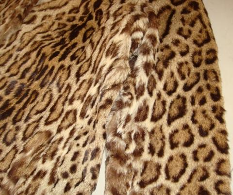 Detail Schulterpartie - (Pelz, Leopard, Raubkatzen)