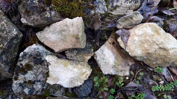 Bild zum Beitrag