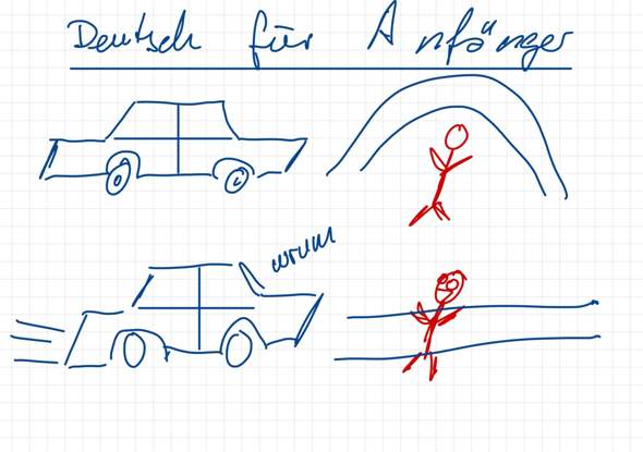 Bild zum Beitrag