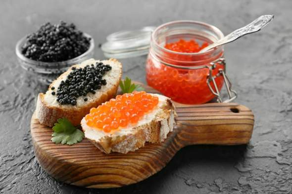 Umfrage - Mögt ihr Kaviar?
