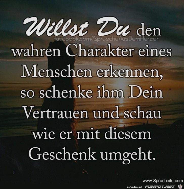 Vertrauen missbraucht sprüche