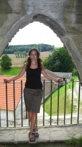 Bild zum Beitrag