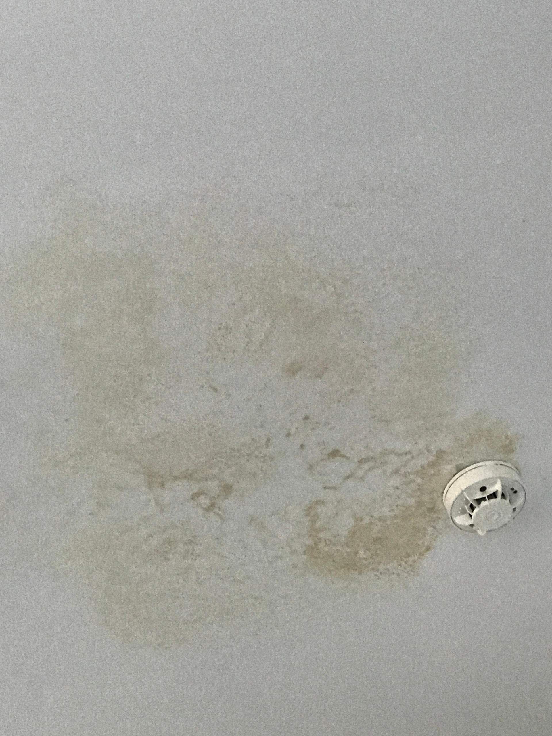 Ungewöhnliche Flecken an der Decke? (Wohnung, Schimmel, Renovierung) Ungewöhnliche Flecken an der Decke? (Wohnung, Schimmel, Renovierung)