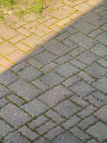 Bild zum Beitrag
