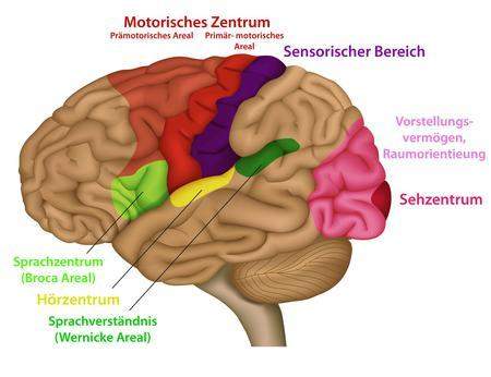 Bild zum Beitrag